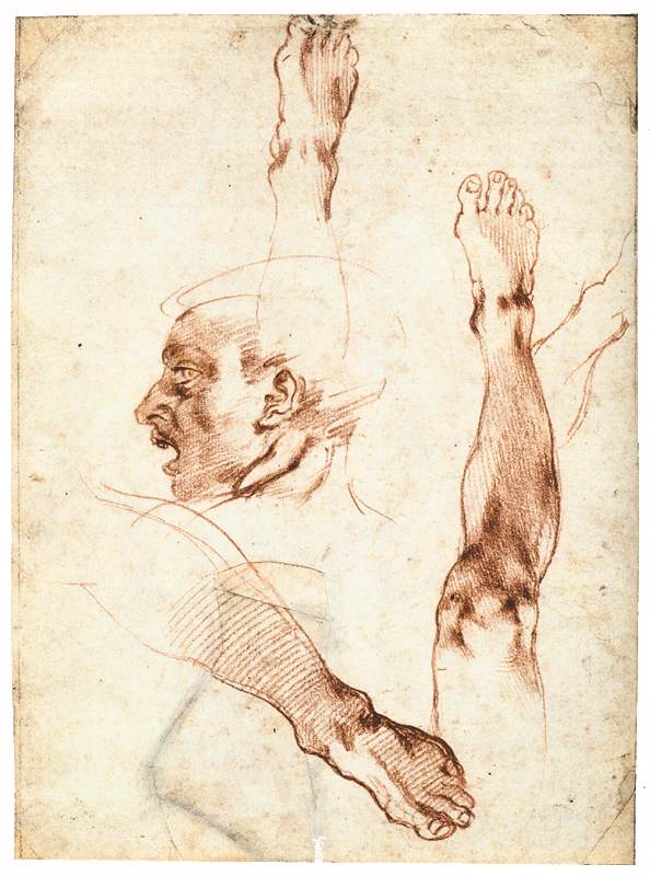 Michelangelo-Buonarroti (139).jpg